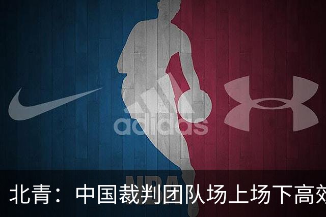 北青：中国裁判团队场上场下高效协作，配得上更多世界杯执法场次